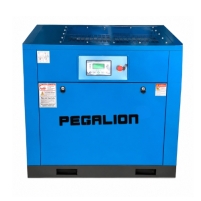 Hình ảnh Máy nén khí trục vít PEGALION TMPM-100HP
