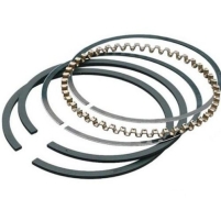 Hình ảnh Xéc măng đầm cóc