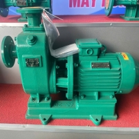 Hình ảnh Máy bơm nước 65ZX25-40-7.5