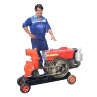 Hình ảnh Máy bơm nước đầu nổ Diesel D8 Phi 80