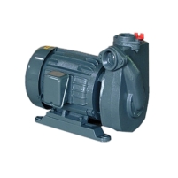 Hình ảnh Máy bơm trục ngang APP HC 10 (0. 75KW)