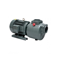 Hình ảnh Máy bơm trục ngang APP SC-50T