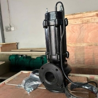 Hình ảnh Bơm chìm nước thải thân gang 65WQ25-30-4