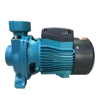 Hình ảnh Máy bơm ly tâm lưu lượng LEPONO ACm 110B2