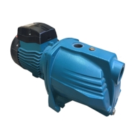 Hình ảnh Máy bơm đầu nhựa Lepono AJm 110L