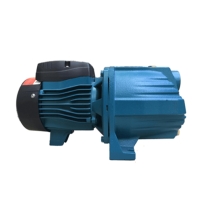 Hình ảnh Máy bơm đầu nhựa Lepono AJm 30