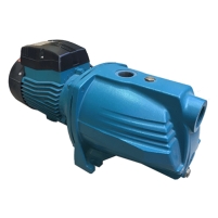 Hình ảnh Máy bơm đầu gang Lepono AJm 75