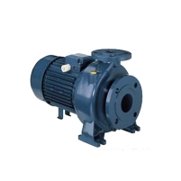 Hình ảnh Máy bơm ly tâm 3D 50 - 125/4.0