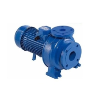 Hình ảnh Máy bơm ly tâm 3D 65 - 125/4.0