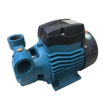 Hình ảnh Máy bơm nước chân không LEPONO AQm75