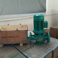 Hình ảnh Máy bơm trục đứng IRG-100-100-A