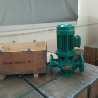 Hình ảnh Máy bơm trục đứng IRG-65-125(I)