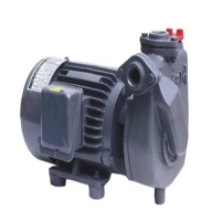 Hình ảnh Máy bơm trục ngang AP​P HC 20 (1. 5KW)