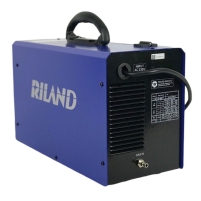 Hình ảnh Máy hàn Riland MIG 251GE