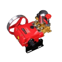 Hình ảnh Đầu xịt áp lực Champion CP-230 2HP