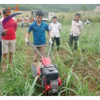 Hình ảnh Máy Lên Luống Mitsubishi MS655