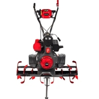 Hình ảnh Máy xới đất Koop KDPT 1000