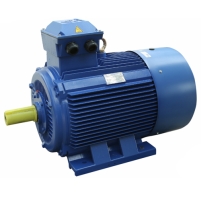 Hình ảnh Tổng hợp động cơ điện 3 pha Toàn Phát