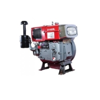 Hình ảnh Động cơ D165RLI