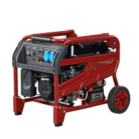 Hình ảnh Máy phát điện chạy xăng Shineray SG3000