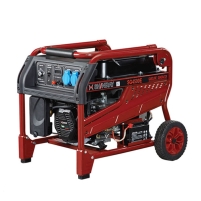 Hình ảnh Máy phát điện chạy xăng Shineray SG4500E