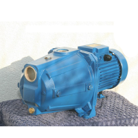 Hình ảnh Máy bơm ly tâm tự mồi Ebara AGA 0.60 M