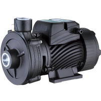 Hình ảnh Máy bơm ly tâm gia đình Pumpman 1DK-20