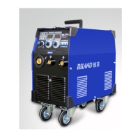 Hình ảnh Máy hàn MIG Riland 300GW