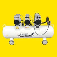 Máy nén khí giảm âm không dầu Pegasus TM-OF750x3-120L Hình ảnh Máy nén khí giảm âm không dầu Pegasus TM-OF750x3-120L
