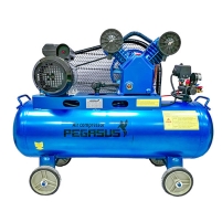 Máy nén khí dây đai Pegasus TM-V-0.17/8-120L Hình ảnh Máy nén khí dây đai Pegasus TM-V-0.17/8-120L