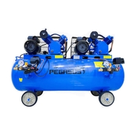 Máy nén khí dây đai PEGASUS TM-V-0.25/12.5x2-3HPx2-230L Hình ảnh Máy nén khí dây đai PEGASUS TM-V-0.25/12.5x2-3HPx2-230L