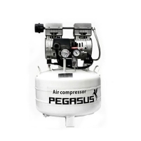 Máy nén khí không dầu, giảm âm Pegasus TM-OF550-40L Hình ảnh Máy nén khí không dầu, giảm âm Pegasus TM-OF550-40L