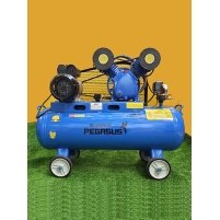Máy nén khí Pegasus TM- V -0.25/8 (3 HP) 70L Hình ảnh Máy nén khí Pegasus TM- V -0.25/8 (3 HP) 70L