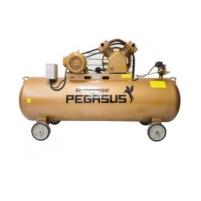 Hình ảnh Máy nén khí dây đai Pegasus TM-W-0.36/8-180L (220V)