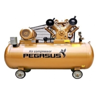Máy nén khí dây đai Pegasus TM-W-1.6/12.5 - 500L Hình ảnh Máy nén khí dây đai Pegasus TM-W-1.6/12.5 - 500L