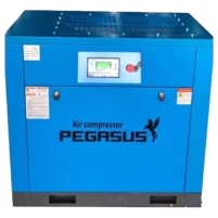 Hình ảnh Máy nén khí trục vít Pegasus TMPM75A