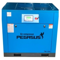 Hình ảnh Máy nén khí trục vít TMPM15A
