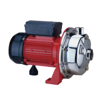 Hình ảnh Máy bơm dân dụng trục ngang đầu INOX APP SW-250S (INOX 316)