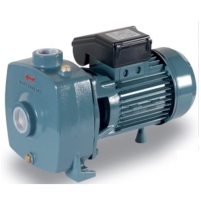 Hình ảnh Bơm dân dụng Elanta CB 300 M - NORYL IMPELLER