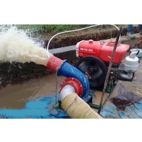 Hình ảnh Máy bơm nước đầu nổ Diesel D12 Phi 150