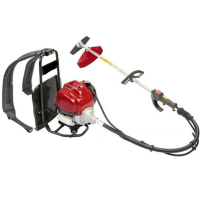 Hình ảnh Máy xạc cỏ đeo lưng Gx35