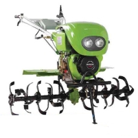 Hình ảnh Máy xới đất Shineray SR1Z-135E