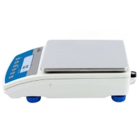 Hình ảnh Cân kỹ thuật Radwag WLC10/A2