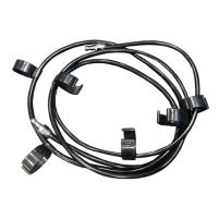 Hình ảnh Dây phun máy phun hút thảm