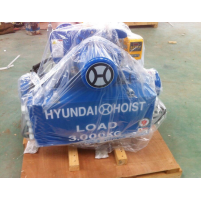 Hình ảnh Pa lăng cáp điện Hyundai H3T 3 tấn dầm đơn