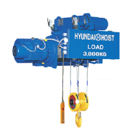 Hình ảnh Pa lăng cáp điện Hyundai H3B 3 tấn dầm đơn