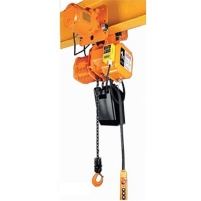 Hình ảnh Pa lăng xích điện Deasan DSTM-1S 1 tấn 3m