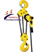 Hình ảnh Palang xích lắc tay Deasan NDM90