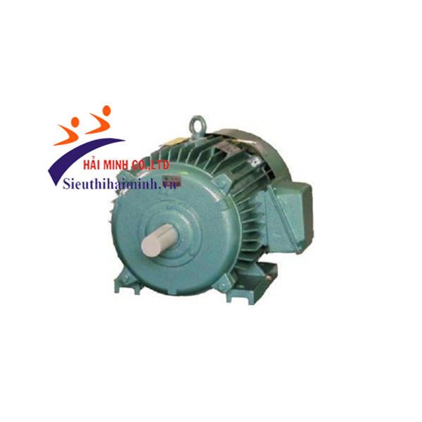 Photo - Động cơ điện 3 pha Hem 3K200M4-30KW