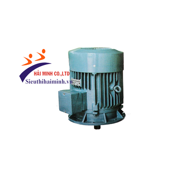 Photo - Động cơ điện 3 pha Hem 3K200S6-15KW